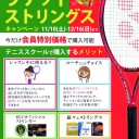 racket-724x1024